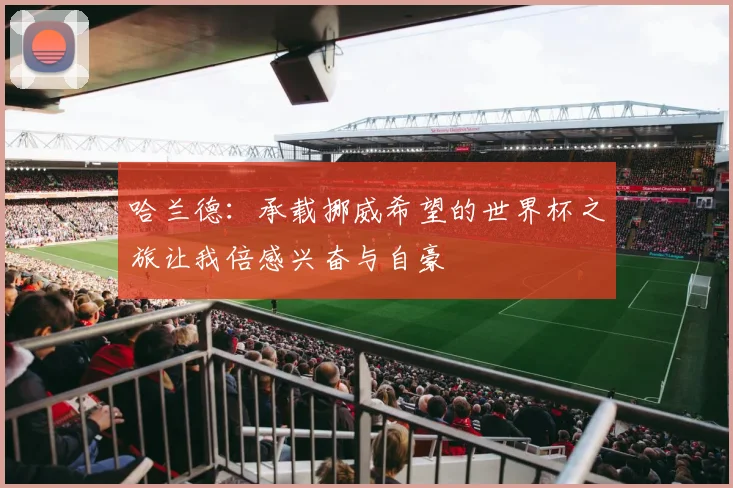 哈兰德：承载挪威希望的世界杯之旅让我倍感兴奋与自豪